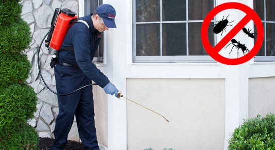 Akyurt Kene İlaçlama böcek ilaçlama ve haşere kontrolü — ilaclama-tr.com